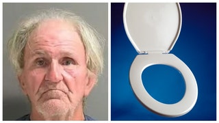 Man Charged With Felony After Using A Toilet Seat During An Assault
