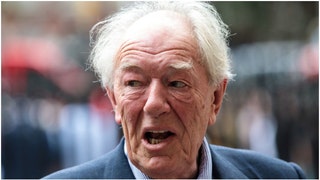 "Harry Potter" actor Michael Gambon has passed away at the age of 82. Tributes poured in for the "Harry Potter" star after his death. (Credit: Getty Images)