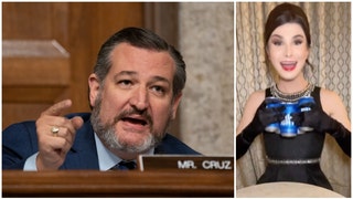 Ted Cruz wants Anheuser-Busch and Bud Light investigated. (Credit: Getty Images and Instagram)