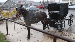 An Amish horse and buggy