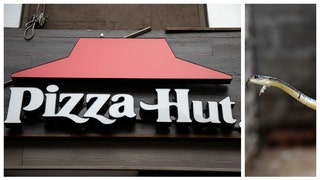 PIZZA HUT SNAKE