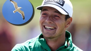 Bird Poops On Viktor Hovland At The Open: Video