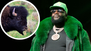 Rick Ross' Buffaloes Keep Escaping From His Georgia Estate