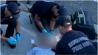 Elderly Jewish man Paul Kessler died after an alleged altercation with a pro-Palestine protester. Where is the outrage? (Credit: Fox News Digital)