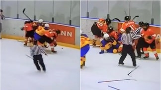 Romania and Bulgaria bench clearing brawl