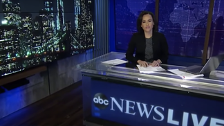 a1036344-Linsey Davis, ABC News