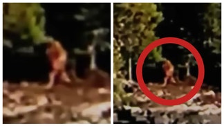 Was a Bigfoot spotted in Canada? A viral video claims to show something near a lake. (Credit: Screenshot/YouTube https://www.youtube.com/watch?v=V6sSRu20_I0)