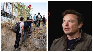 elon musk border crisis