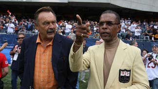 Pittsburgh Steelers v Chicago Bears
