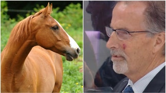 John Tortorella and Horse