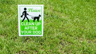 Dog Poo Sign