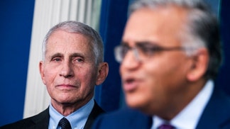 fauci-jha