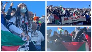 harvard-yale-israel-palestine