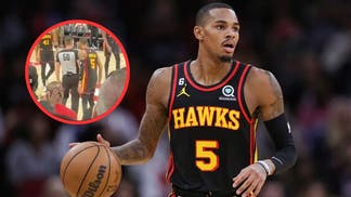 hawks