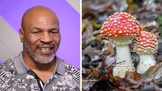 Mike Tyson: 'I Take Psychedelics Every Day'
