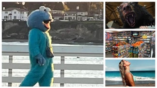 Adam Sandler cookie monster, Cocaine Bear reviews, Olivia Dunne sister.
