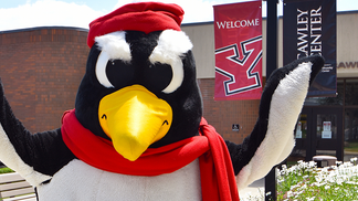 youngstown-state-penguin-helmets