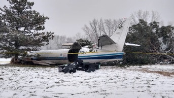 Plane Transporting Rescue Dogs Crash Lands On Wisconsin Golf Course