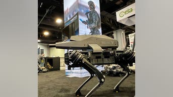 Sniper rifle robot dog