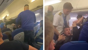 KLM flight fight 2