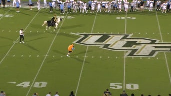 UCF head coach Gus Malzahn had horse racing and the John Rhys Plumlee show Courtesy of UCF Football