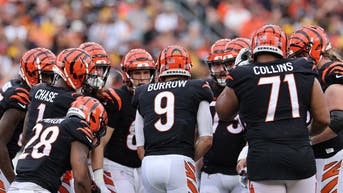 Pittsburgh Steelers v Cincinnati Bengals