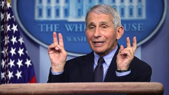 fauci0328