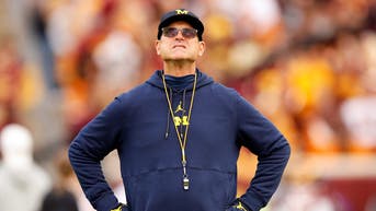 The Big Ten has handed down a punishment for Michigan head coach Jim Harbaugh
