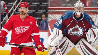 5ae31f82-Pittsburgh Penguins v Detroit Red Wings