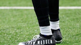 52779e3f-DeSean Jackon Cleats