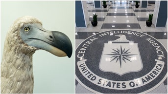 Dodo bird CIA