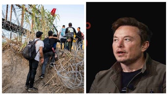 elon musk border crisis