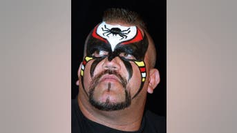WCW Wrestling