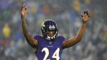 59ed5296-Pittsburgh Steelers v Baltimore Ravens