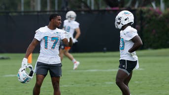 Miami Dolphins Offseason Workout