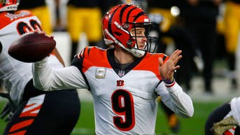 Cincinnati Bengals v Pittsburgh Steelers
