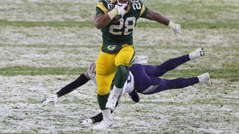 408402c6-Tennessee Titans v Green Bay Packers