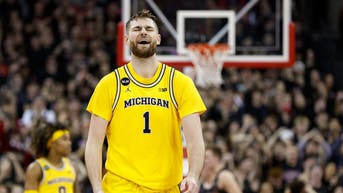 Michigan v Wisconsin