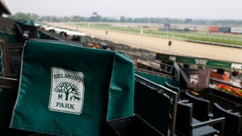 155th Belmont Stakes - Previews