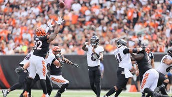 8ec02a70-Baltimore Ravens v Cincinnati Bengals