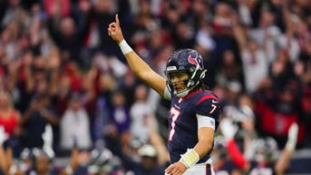 AFC Wild Card Playoffs - Cleveland Browns v Houston Texans