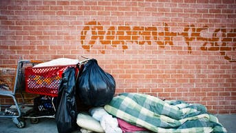 Tomi Lahren's Final Thoughts