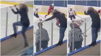 Hockey Mom hits referee