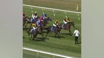 Horse race streaker New Zealand
