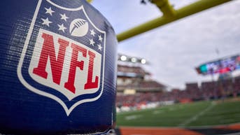 NFL: DEC 26 Ravens at Bengals