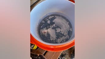 Substance allegedly in water