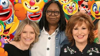 The View clowns