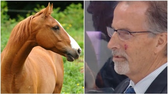 John Tortorella and Horse