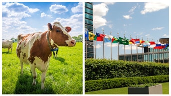 UNITED NATIONS CLIMATE CHANGE