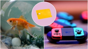 Video Game Fish